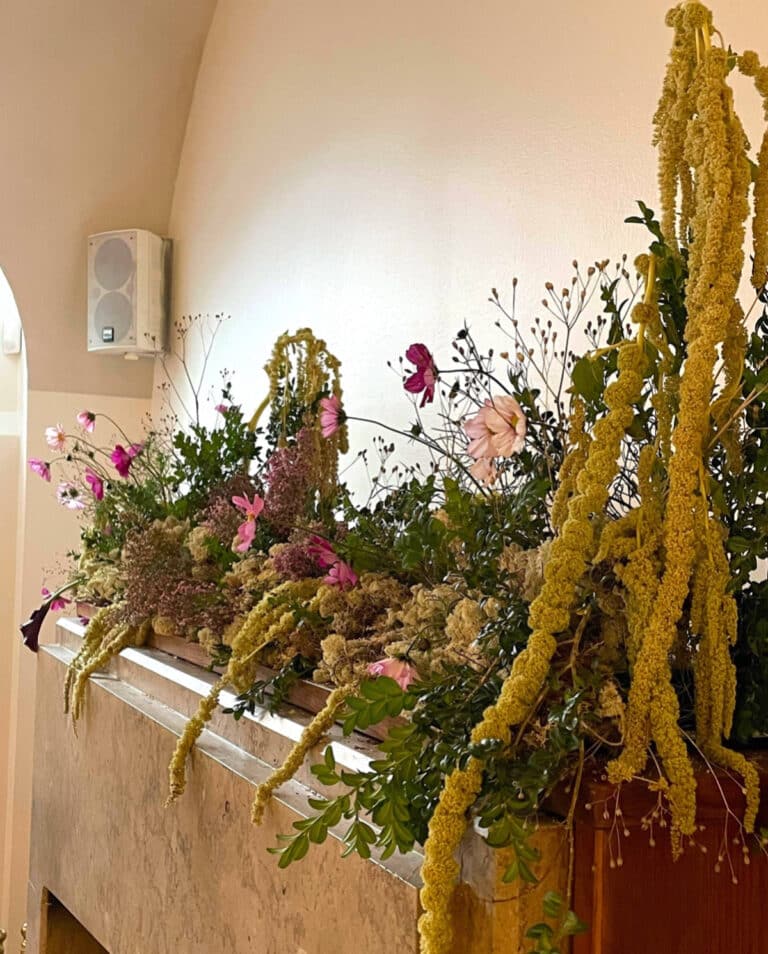 Vildeblomster