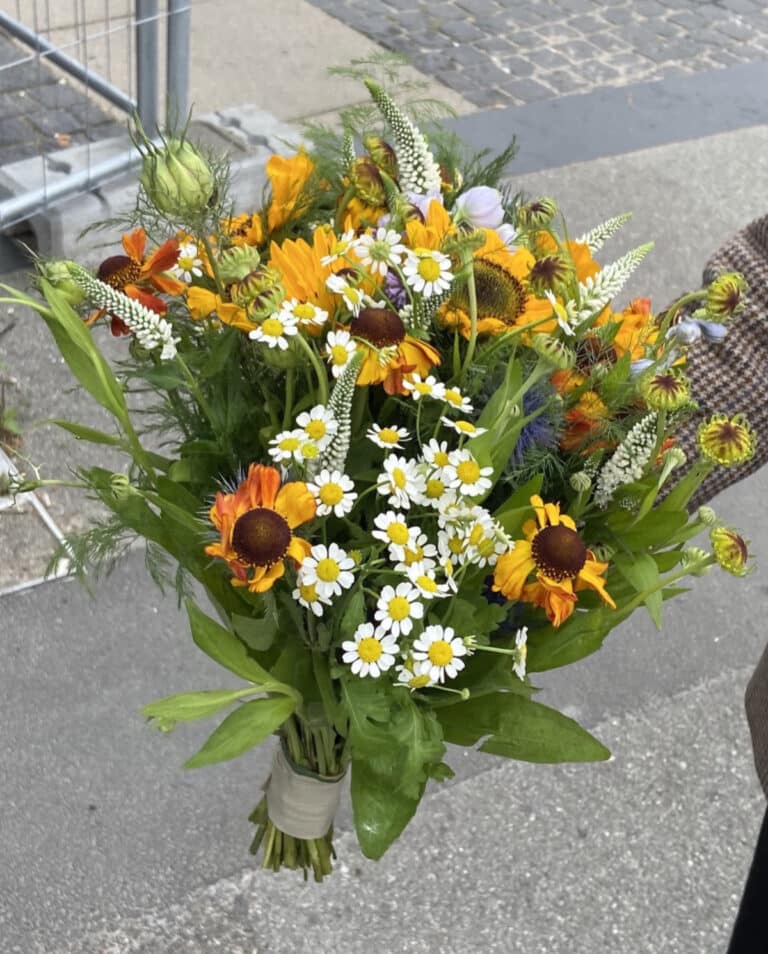 Vildeblomster1